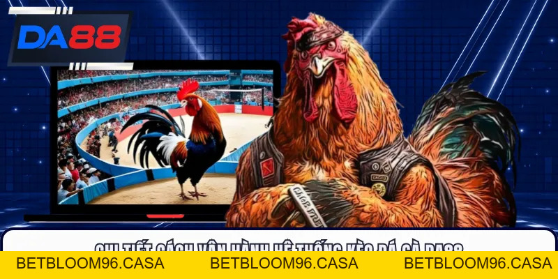 Đá Gà DA88 - Đấu Trường Nảy Lửa, Săn Thưởng Cực Đã