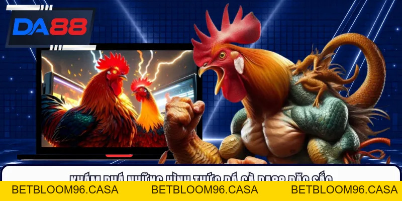 Đá Gà DA88 - Đấu Trường Nảy Lửa, Săn Thưởng Cực Đã